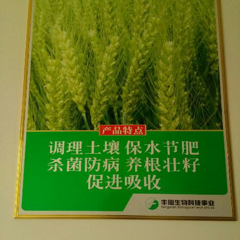 添加图片