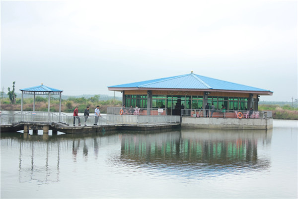 海南老城白莲和谐休闲农庄