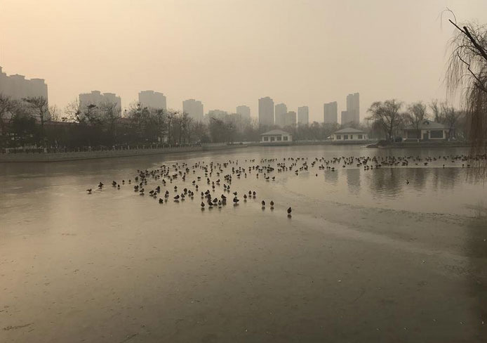 对比之下的雾霾,我只吸北京的!