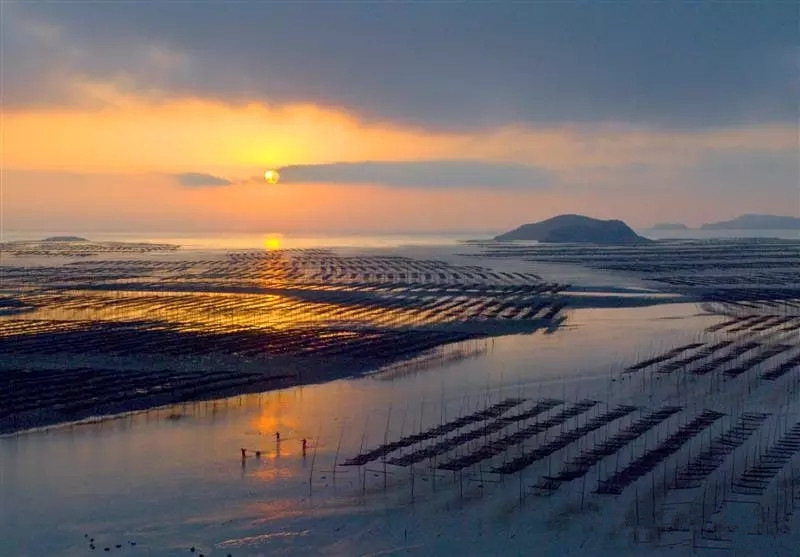 霞浦入选中国最具投资潜力特色示范县200强 _