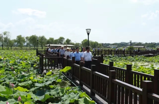 胡江萍、江伟斌率团赴上饶、鹰潭考察,学习先
