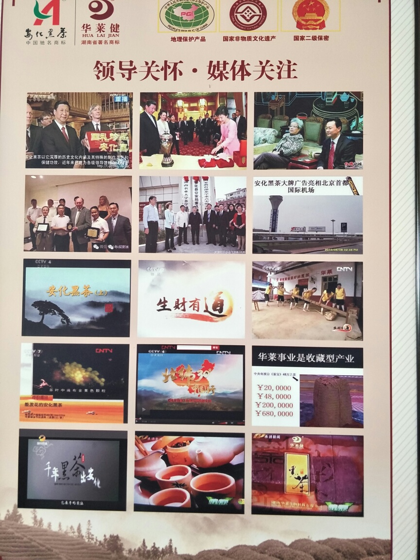 华莱健黑茶、益生菌、冠突散囊菌、增强免疫力