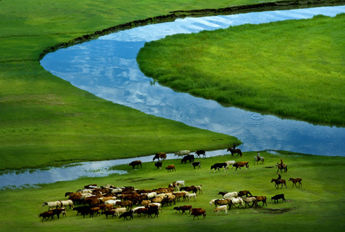 地球上的伤疤消失了 内蒙古毛乌素从荒凉沙海