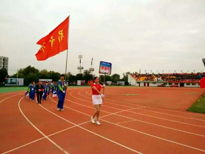 阜阳市第十三届制作开幕式在市体育中心隆重教大全保龄球运动玩具图片图片
