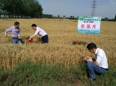 长丰县农技中心开展庄墓河流域农业面源污染防治