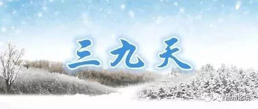 三九玉的价值与市场解析