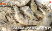 印媒：中国拒绝接收1000个集装箱的印度虾